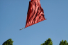_MG_9067.jpg